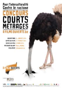 L'affiche du Concours (jpeg)