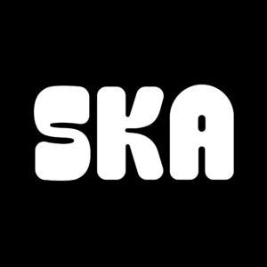 Le SKA (centre culturel de Schaerbeek)